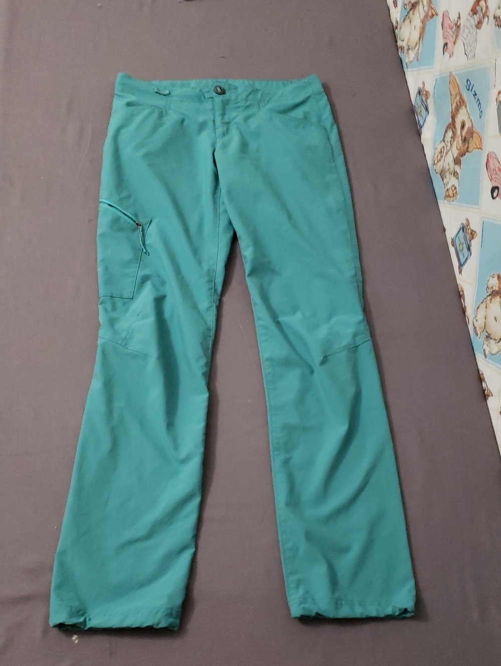Patagonia Teal Soft Shell Pants Size 2